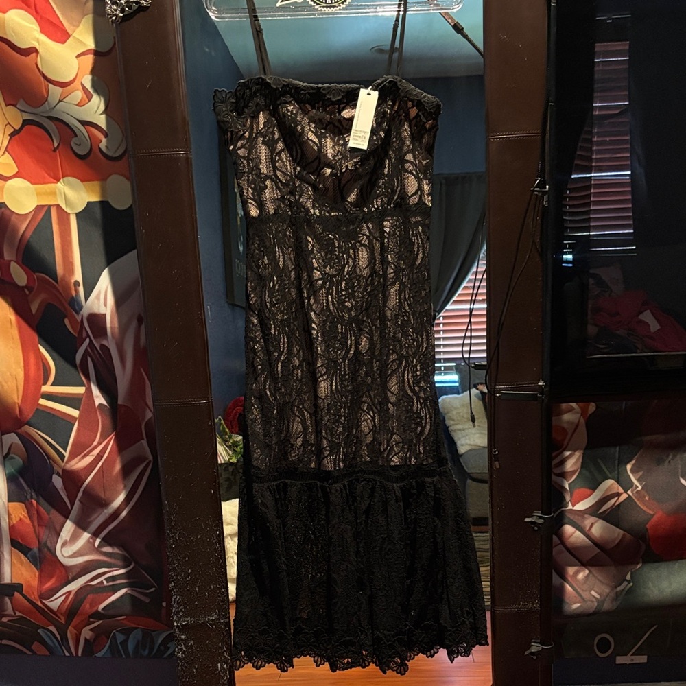 BB Dakota Black Lace Dress with Nude Lining